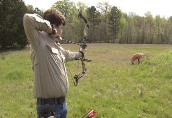 Louisiana youths participate in 4-H competition 